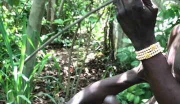Outdoor Threessome Fuck Inside the Bush