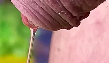 The Easter Bunny Lays Its Eggs 1