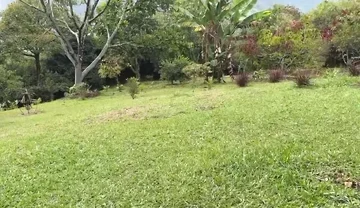 Horny Guy with Glasses Shows You His Morning Erection and Masturbates Outdoors - Andcristian