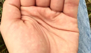 Hands Close up, Palms Close up, Cumshot on Both Hands
