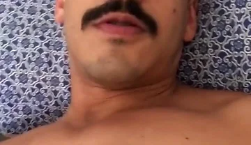 Morning Wood