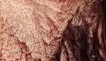 Old Man Playing on the Beach