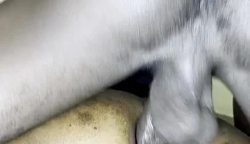 Nigerian Bottom Vs Ghanian Top Having Fun