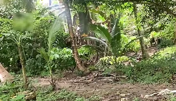 Young Pinoy Twink Jerks off Secretly Outdoors