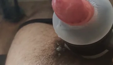 The New Toy
