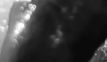 Stylish Compilation of Masturbation Shots - Self Shot Big White Cock and Cum