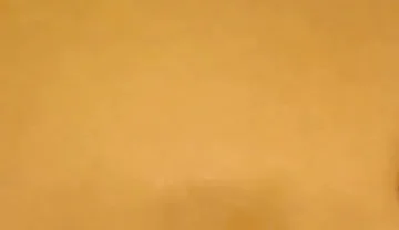 Black Cock Shots