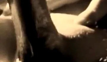 Cumming Huge