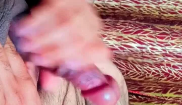 BibearXXX 33