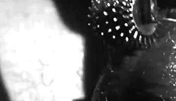 Close-up Oily Masturbation and Cum