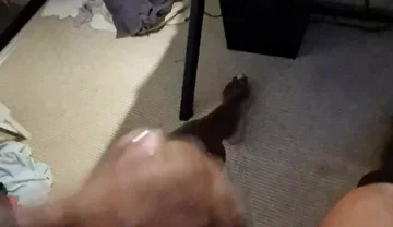 Had a Cum Last Night so I Could Relax