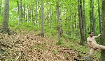 I Chase Him Through the Leaves