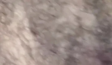 Some Fun Nipple Stuff for Titty Tuesday!