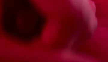 Red Golden Perish Golden Sperm Shot