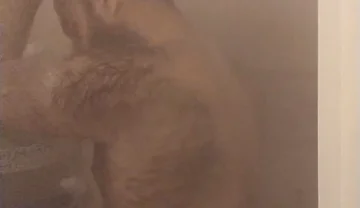 Take a Shower