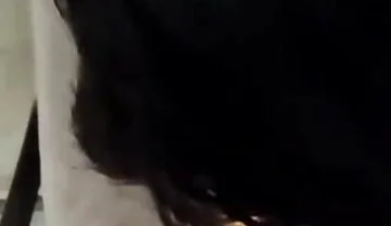 The Boy Sucks the Cock of the Mature Daddy