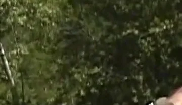 Backwoods Bears: Tom and Allen