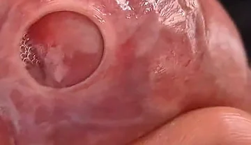 Big Uncut Daddy.. Tight Phimosis Foreskin Play, Precum Flood, and Cumplay