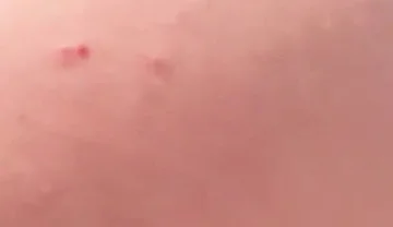 My Big Ass Is Way Better Than a Woman’s, and It Never Gets Pregnant.