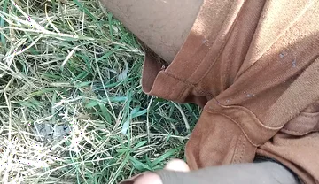 Desi Cock