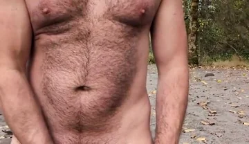 A Bear in the Wild