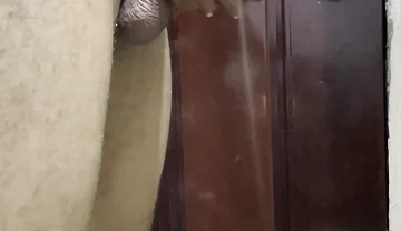 Late Night Office Jerking