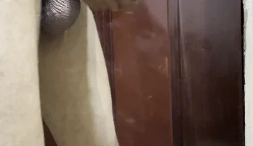 Late Night Office Jerking