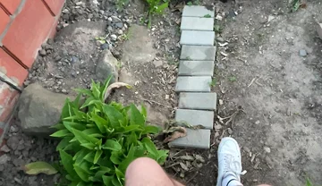 Risky! I Play on the Street with My Dick