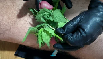 Cum with Nettles Inside Dick