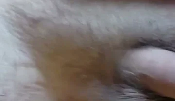 I'm Waving My Cock for You