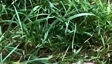 Enjoy This Slowmo. Tomorrow a Short BJ Clip Will Come:d