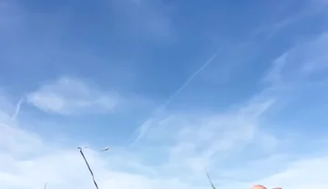 Cowboy Jacks off in a Farm Field