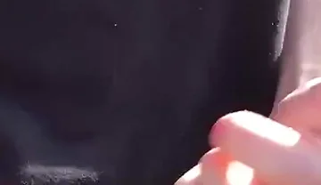 The Sunshine