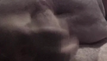 Handsome Mature Chubby with Big Fat Cock Masturbating Until I Cum a Lot in the Foreground for You Comments