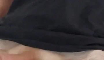 Quick Training Wank No Cum