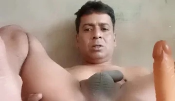 Anal Organisation