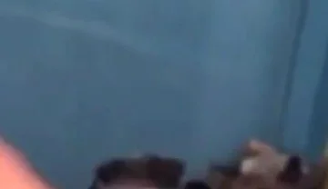 Haydenbbc Video