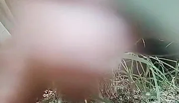The Village Boy Went to the Cornfield and Hit Him Hard