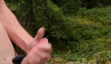 Me Against the Flies