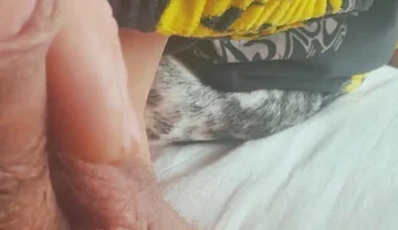 Soft Smal Penis Massage