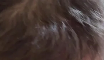 Sucking Asian Bear's Cock