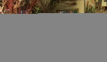 Nordic Hunk Humiliated and Bukkake in a Flower Shop.