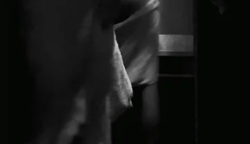 Public Toilets Encounter #2
