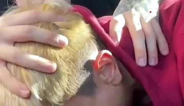 Big Cum Shot! Sucking off My Dl Homie Car Fun Hardcore Gay Cocksucker