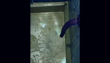 Back in the Shower, Playing with My Anus Again...