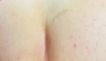 Anal Toy