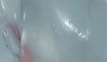 I Was Playing with My Homemade Toy When Something Strange Happened