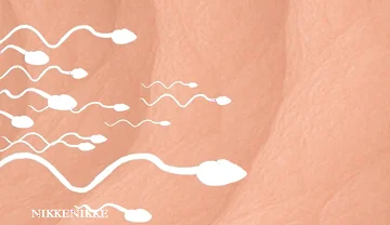 Yaoi: Spermtazoid Game: Level up in Her Stuffed Little Ass