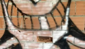 Amateur Boy Caught Bare Ass in Abandoned Building