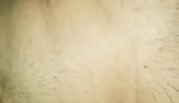 I Fucked My White Gay Friend